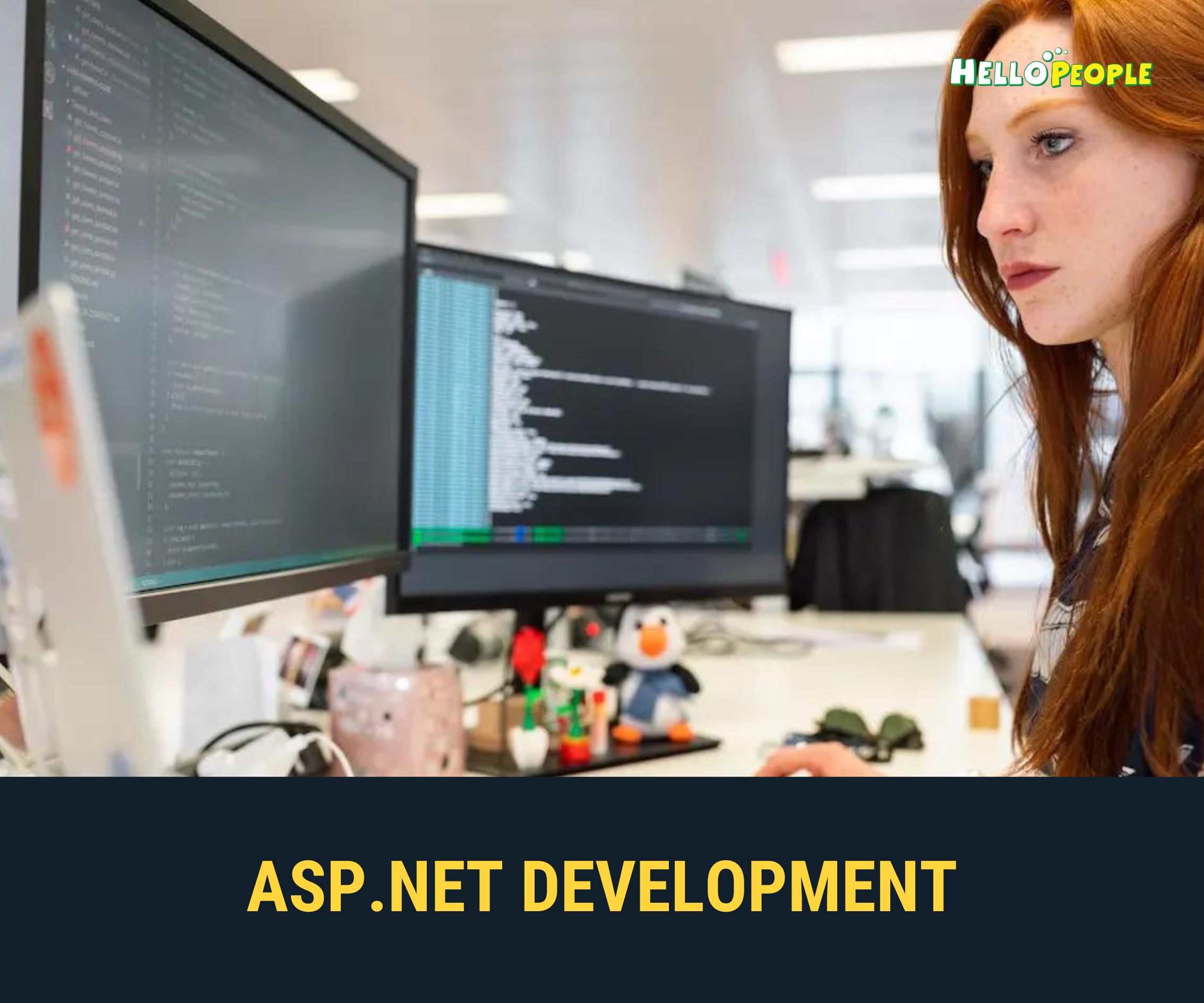 asp .net developer