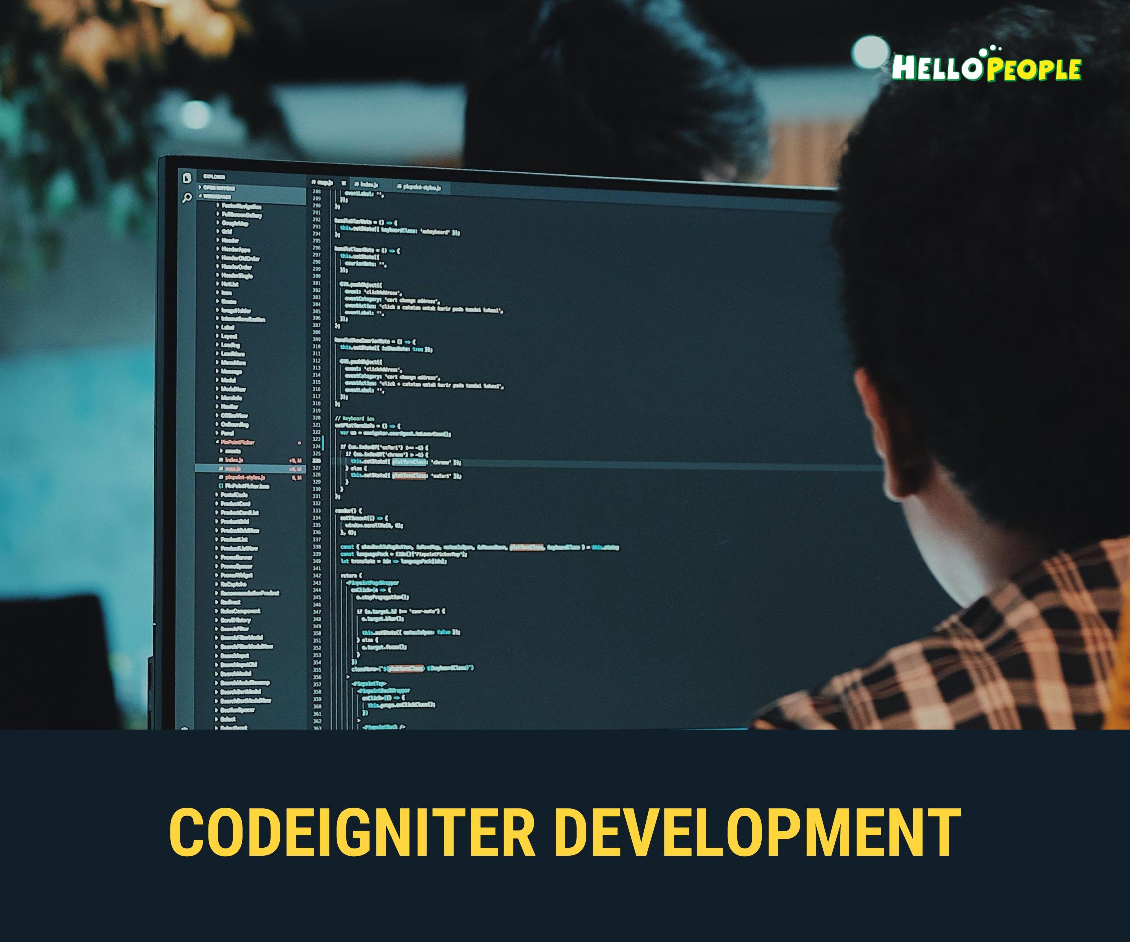 codeigniter developer