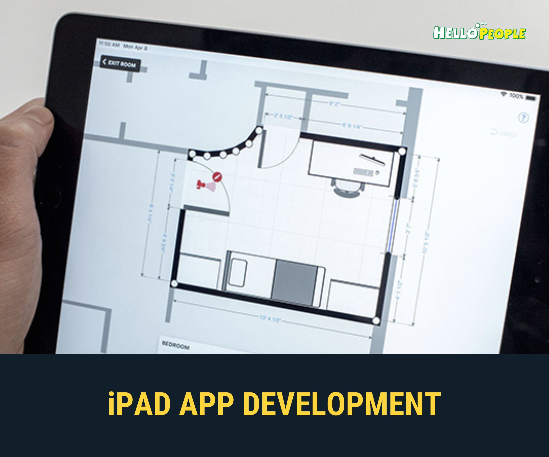 iPad App Developer