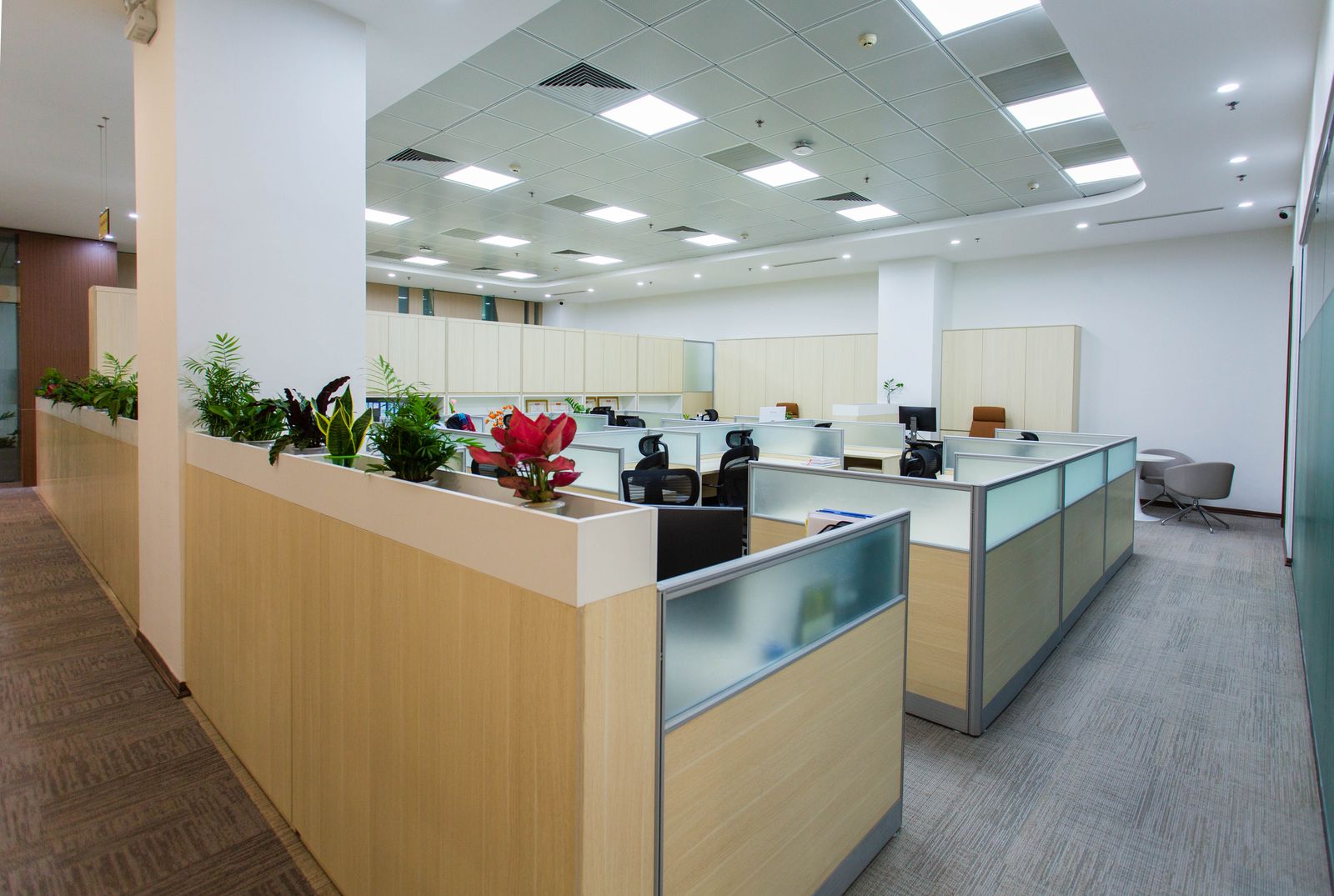 Finished modern open-plan office space — the outcome a custom-built coordination and handover layer enables fitout teams to deliver more reliably
