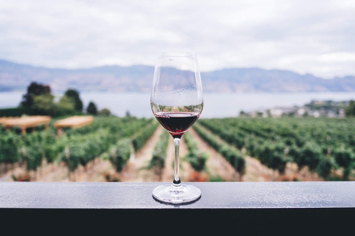 Wine tasting experience at a regional cellar door